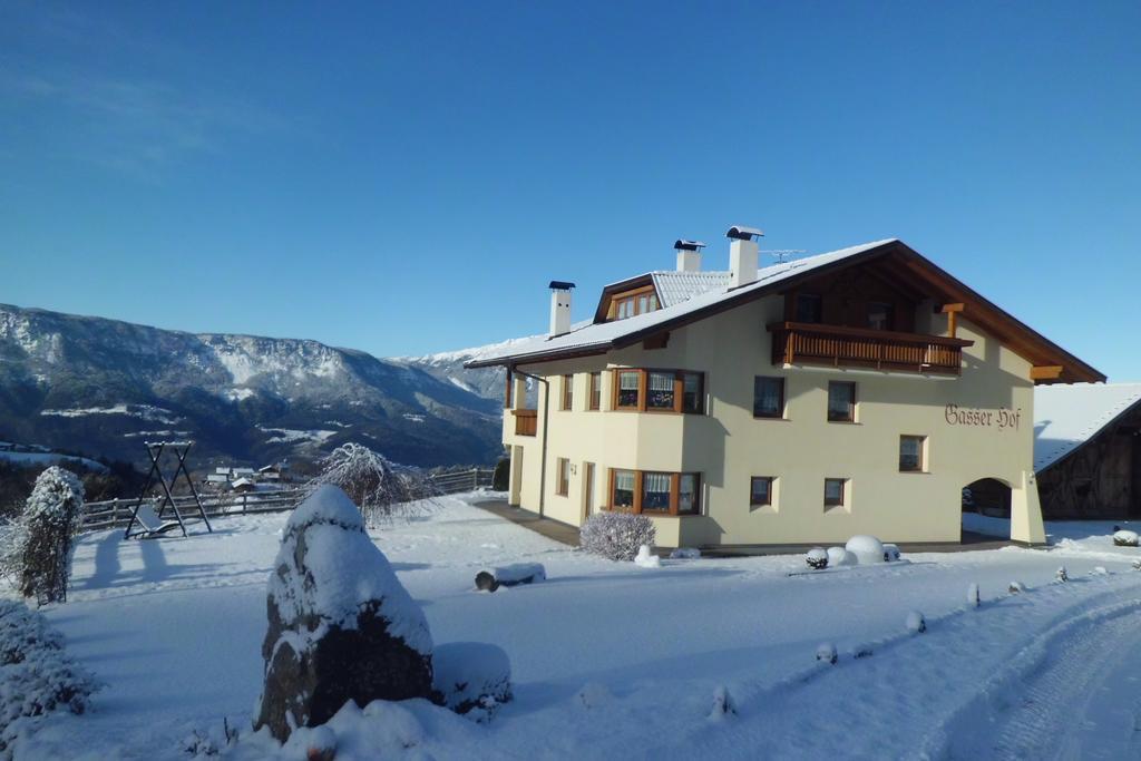 Gasserhof Chalets 麦尔迪娜 外观 照片