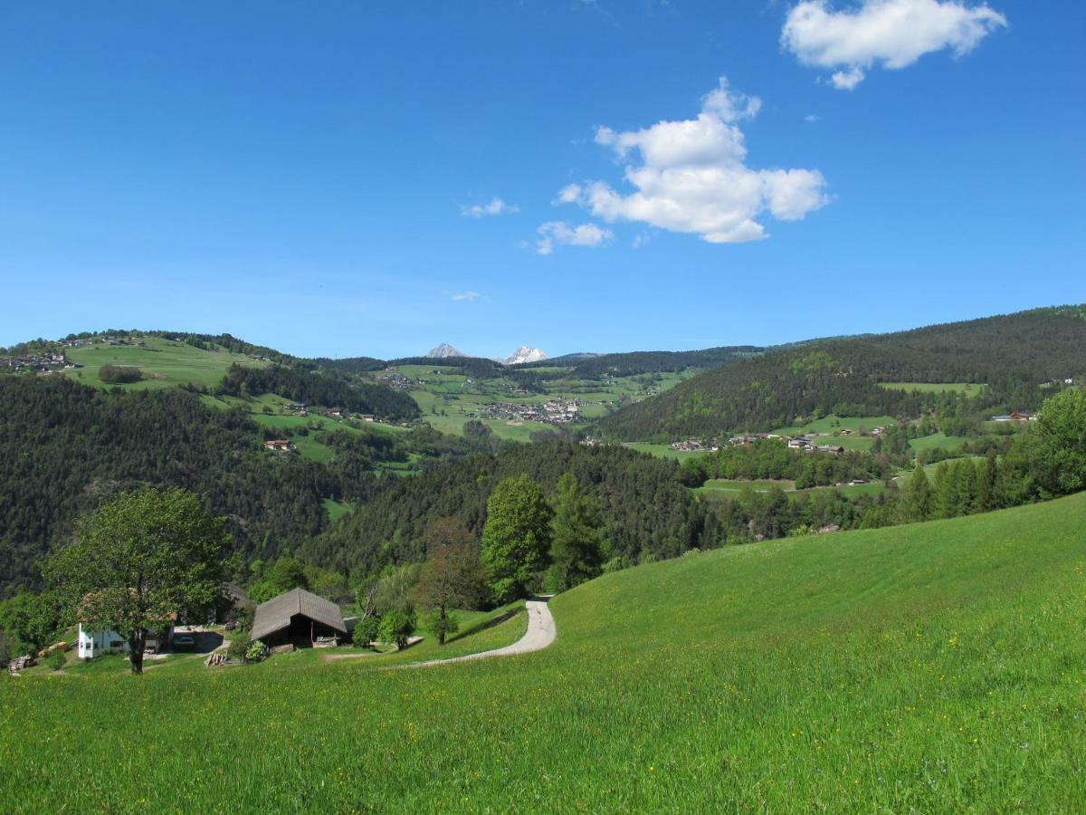 Gasserhof Chalets 麦尔迪娜 外观 照片